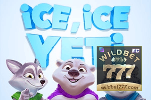 WILD BET777 feedback — formulário de envio no aplicativo oficial